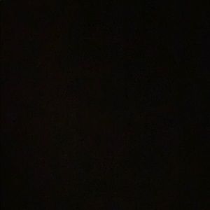 Meet your Posher, Dawson